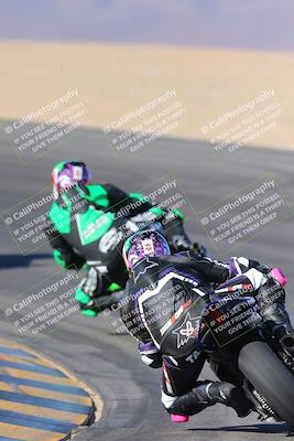 media/Nov-12-2023-SoCal Trackdays (Sun) [[5d1fba4e7d]]/Turn 10 Backside (115pm)/